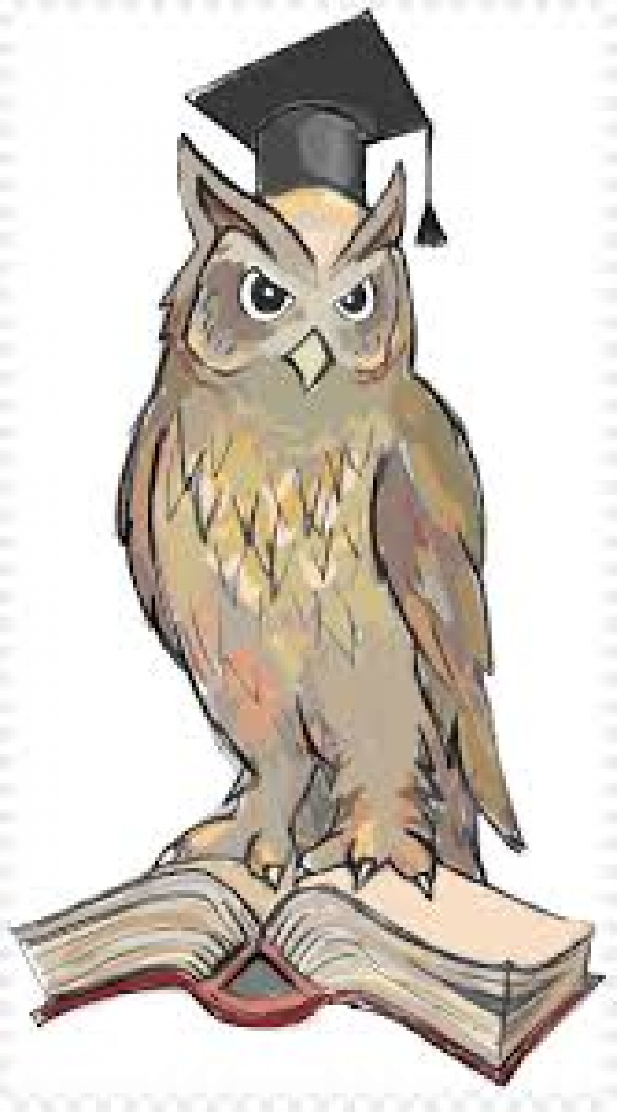 في سيكولوجية الحكمة: ادعاء الحكمة بأثر رجعي