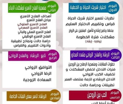 برنامج العلاج الأسري والزواجي